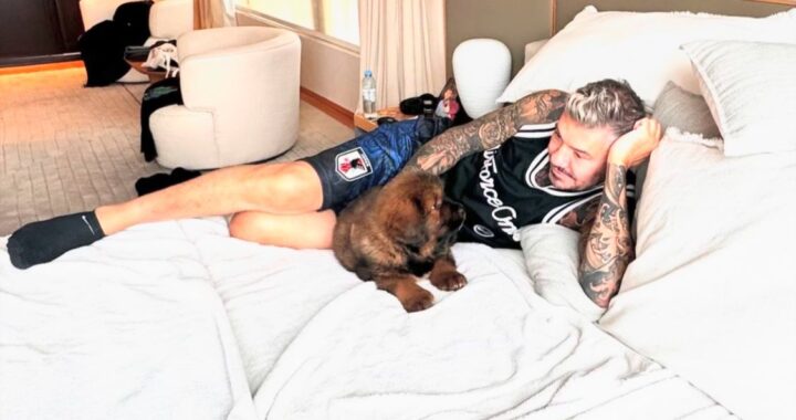 Marcelo Tinelli presentó a su mascota, Bruno