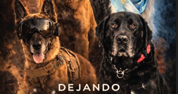 Bronco, Xena y Kyba recibirán la máxima distinción canina en Asunción